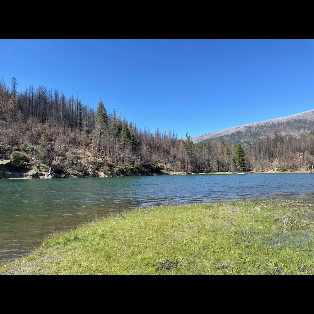 Meet your Posher, Sharleigh